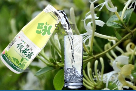 金銀花露可以冷藏嗎？金銀花露能放冰箱嗎？