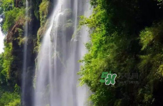 漂流需要準(zhǔn)備什么東西？漂流哪里最好玩？