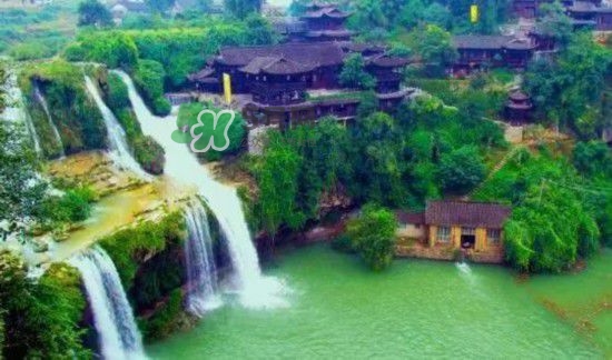 漂流需要準(zhǔn)備什么東西？漂流哪里最好玩？