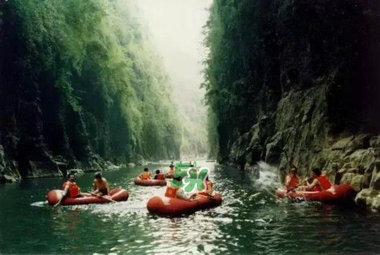 漂流需要準(zhǔn)備什么東西？漂流哪里最好玩？