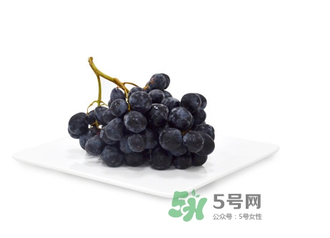 黑提有籽嗎？黑提是什么季節(jié)的水果