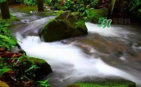 漂流需要準(zhǔn)備什么東西？漂流哪里最好玩？
