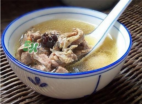 三伏天能吃鴿子嗎？三伏天能喝鴿子湯嗎？