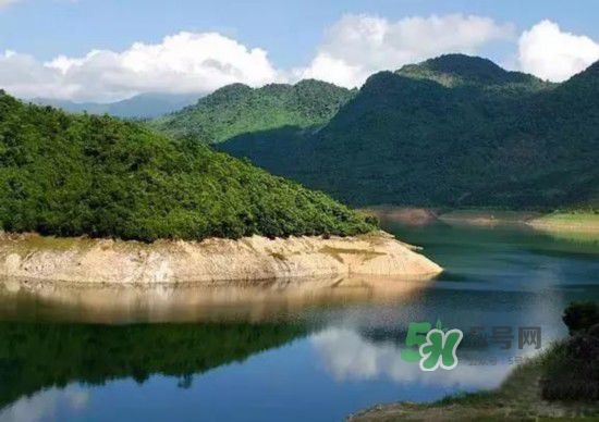 漂流需要準(zhǔn)備什么東西？漂流哪里最好玩？
