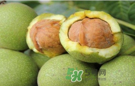 青皮核桃營養(yǎng)價(jià)值高嗎？青皮核桃怎么挑選