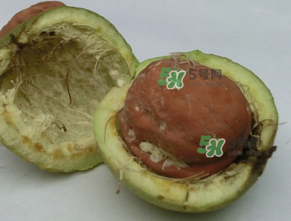 核桃最外面的青皮有什么用？為什么摸了核桃的青皮手會黑？