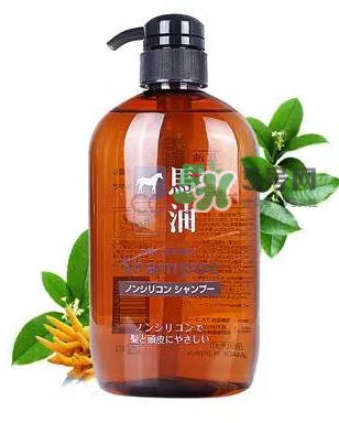 熊野馬油洗發(fā)水起頭屑嗎？KUMANO洗發(fā)水用完長頭屑嗎？