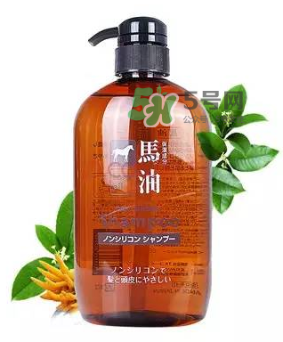 熊野馬油洗發(fā)水起頭屑嗎？KUMANO洗發(fā)水用完長頭屑嗎？