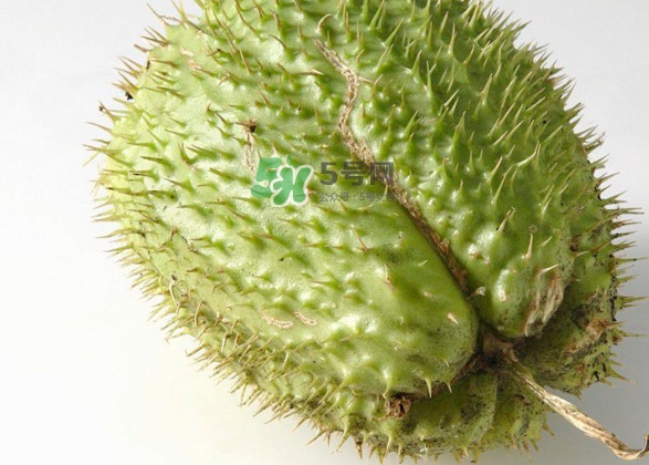 刺果番荔枝多少錢一斤？刺果番荔枝哪里有賣？