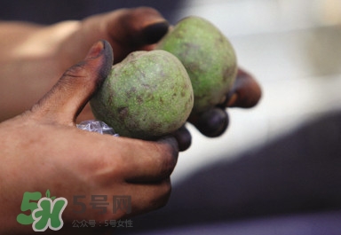 青皮核桃哪里有賣？哪里可以買到青皮核桃