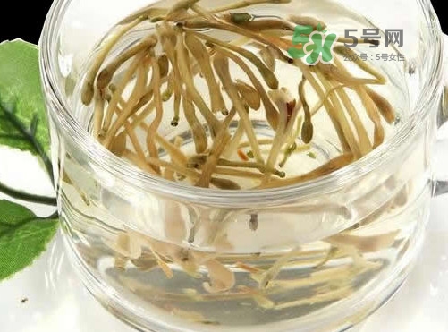金銀花茶要怎樣泡才好喝？金銀花茶最佳泡茶水溫是多少