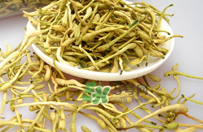 金銀花茶是去火的嗎？金銀花茶有什么功效與作用