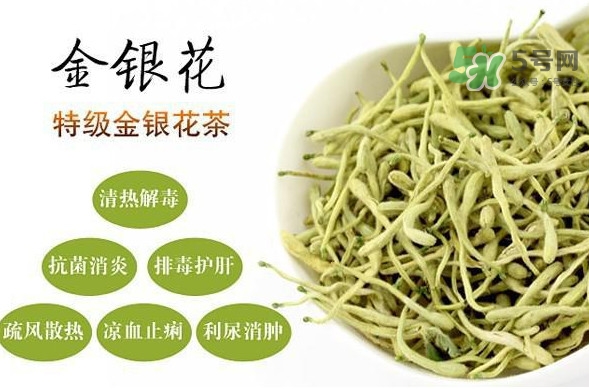 金銀花茶是去火的嗎？金銀花茶有什么功效與作用