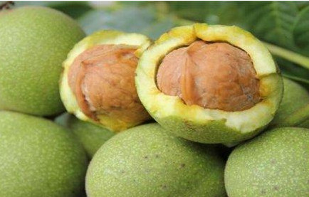 青皮核桃貴還是買去皮的貴？青皮核桃種植方法
