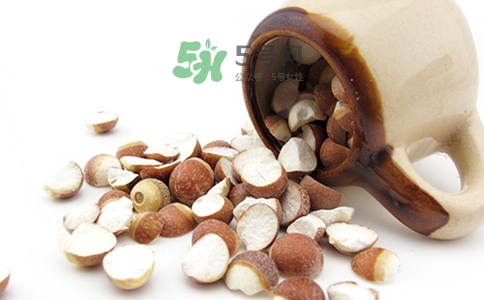 三伏天可以補腎嗎？三伏天可以進補嗎？