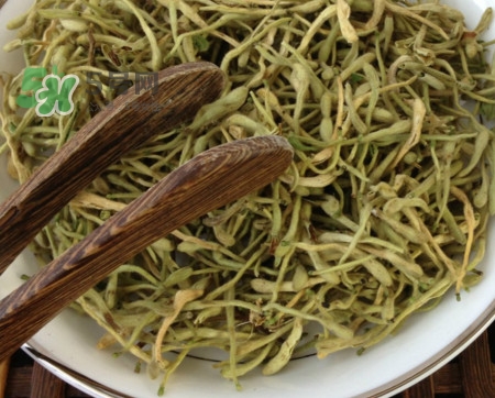 金銀花茶苦嗎？喝金銀花茶需要注意什么