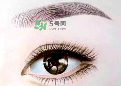 三伏天能紋眉嗎？三伏天紋眉毛好嗎？