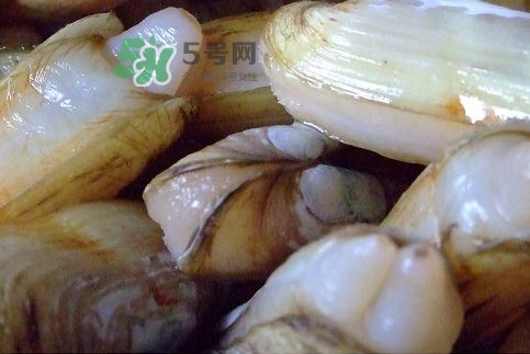 蟶子怎么抓？孕婦能吃蟶子嗎