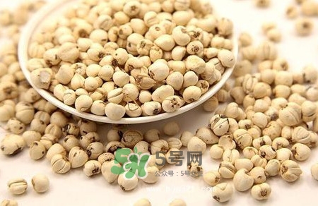 川貝母是苦的嗎？川貝母是涼性的嗎