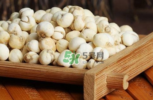 川貝母可以直接吃嗎？川貝母可以泡水喝嗎