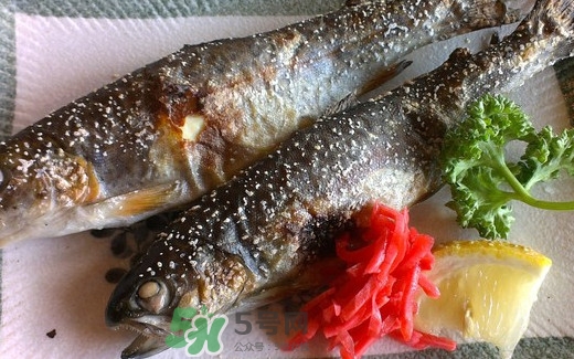 鱒魚(yú)是三文魚(yú)嗎？鱒魚(yú)是什么魚(yú)