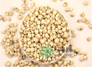 川貝母是苦的嗎？川貝母是涼性的嗎
