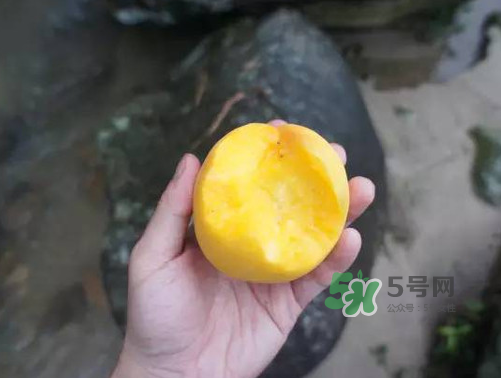 炎陵黃桃什么時(shí)候成熟？炎陵黃桃好吃嗎？