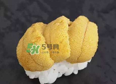 海膽怎么處理？海膽可以生吃嗎？