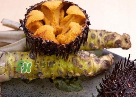 被海膽刺到怎么辦？吃海膽對(duì)身體有什么好處
