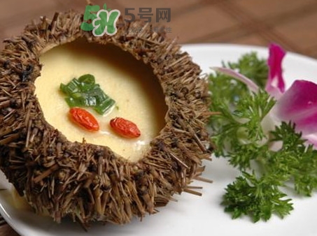 海膽死了還能吃嗎？海膽不能跟什么一起吃