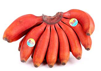 紅香蕉是哪里的特產(chǎn)？紅香蕉什么時(shí)候成熟？