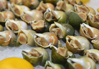 海螺怎么做好吃？海螺怎么清洗干凈