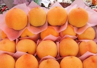 錦繡黃桃什么時(shí)候成熟？錦繡黃桃?guī)自鲁墒欤?><p><strong>錦繡黃桃什么時(shí)候成熟？錦繡黃桃?guī)自鲁墒欤?/strong></p></a></li> <li><a href=