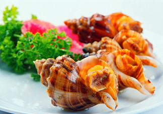 為什么海螺殼里面會有聲音？海螺和韭菜能不能一起吃