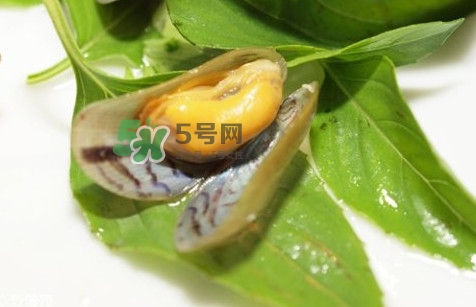 薄殼怎么讀？薄殼怎么洗干凈