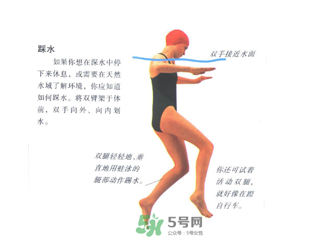 游泳怎么踩水？游泳踩水技巧圖解