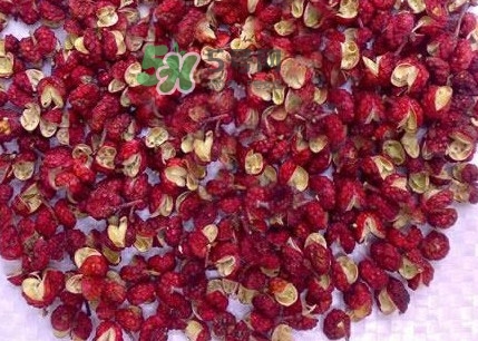 花椒水泡腳能降血壓嗎？泡腳是干花椒好還是鮮花椒好