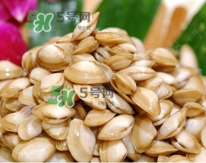 海瓜子怎么養(yǎng)？如何挑選海瓜子