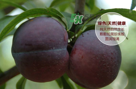 黑布林什么時(shí)候吃最好？黑布林什么人不能吃？