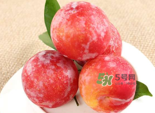 紅布林孕婦可以吃嗎？孕婦可以吃紅布林嗎？