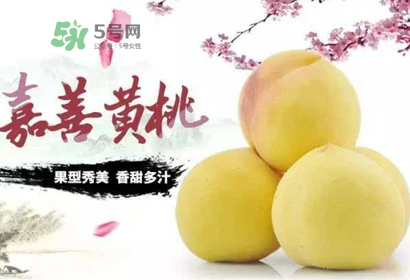 嘉善黃桃多少錢一斤？嘉善黃桃的上市時間