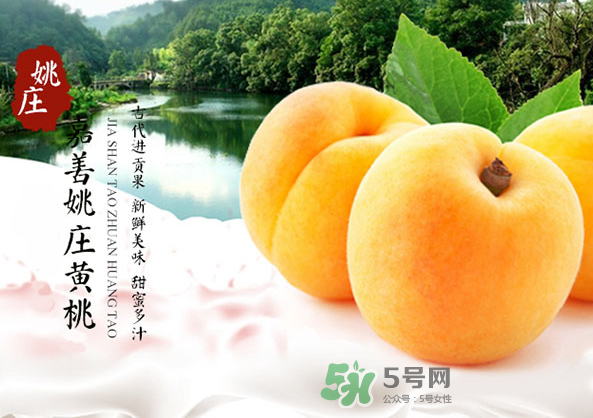嘉善黃桃多少錢一斤？嘉善黃桃的上市時間