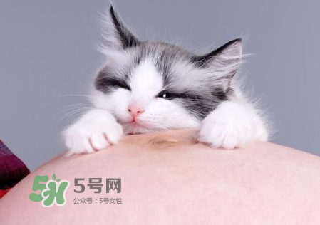 孕婦被貓抓了怎么辦？孕婦被貓抓傷了對(duì)寶寶有什么影響？