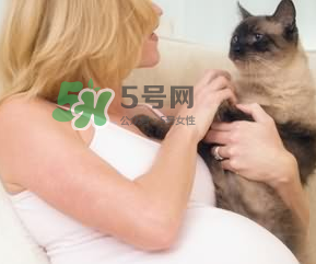 孕婦被貓抓了怎么辦？孕婦被貓抓傷了對(duì)寶寶有什么影響？