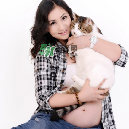 孕婦被貓抓了怎么辦？孕婦被貓抓傷了對(duì)寶寶有什么影響？