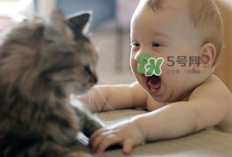 嬰兒被貓抓了怎么辦？嬰兒被貓咪咬了怎么辦？