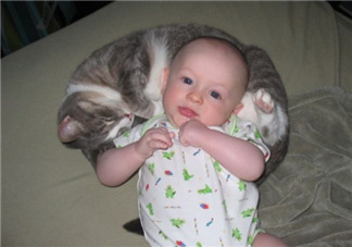 嬰兒被貓抓了怎么辦？嬰兒被貓咪咬了怎么辦？