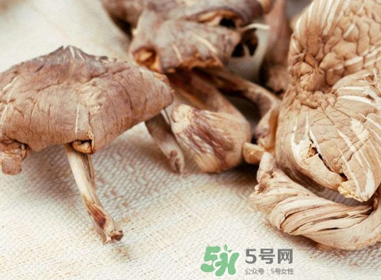雞樅菌有毒嗎？雞樅菌不能和什么一起吃？