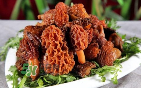 羊肚菌生長(zhǎng)在什么地方？羊肚菌同什么煲湯最好