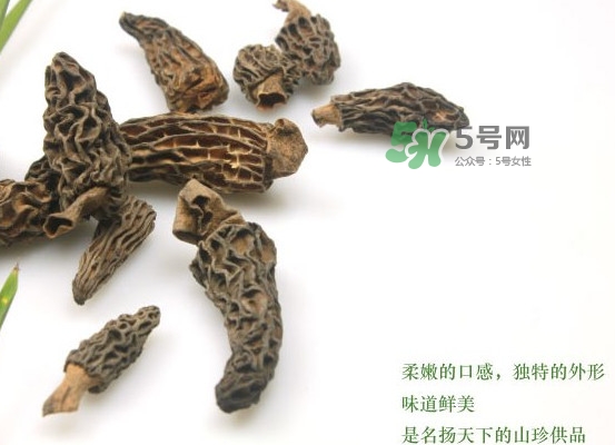 野生羊肚菌多少錢一斤？干羊肚菌多少錢一斤